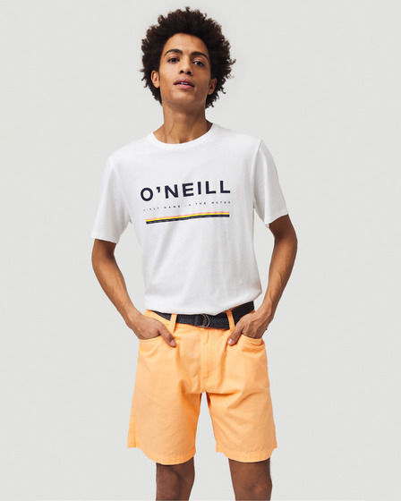 O'Neill Roadtrip Pantaloni scurți